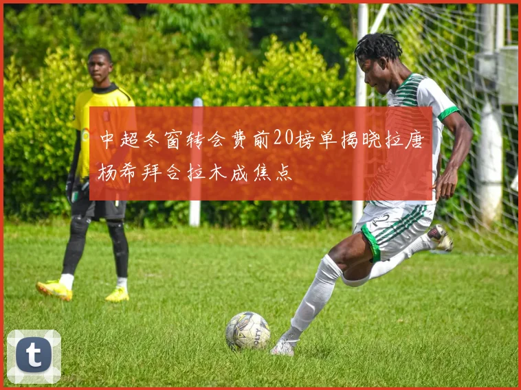 中超冬窗转会费前20榜单揭晓拉唐杨希拜合拉木成焦点